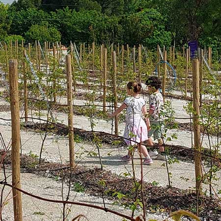 Les Jardins d'Etunia | Parc de loisirs près de Royan en Charente Maritime